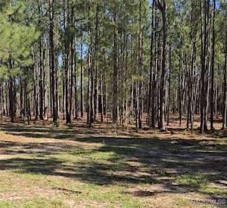 10500 S Lecanto Hwy, Lecanto, FL 34461
