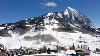 20 Sunflower Dr, Crested Butte, CO 81225