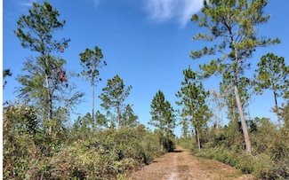 0 Wire Rd Unit 121567, Lee, FL 32539