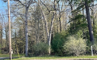 0 W Houghton Lake Dr, Denton Township, MI 48651