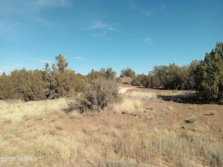 8492 Cannon Blvd, Show Low, AZ 85901