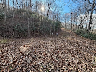 OFF Houston Farm Rd, Bryson City, NC 28713