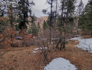 0 Mountain Rd Unit 8603063, Cascade, CO 80809