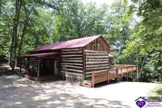 271 Long Fall Cir, Cub Run, KY 42729