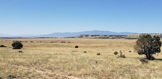 LOT 123 Freight Train Way Unit 123, Rye, CO 81069