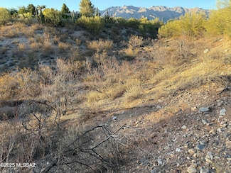 3961 E San Simeon Dr, Catalina Foothills, AZ 85718