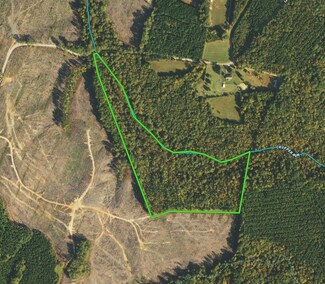 0 Lee's Mill Rd, Drakes Branch, VA 23937