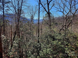 Lt D16 Cedar Creek Farm Rd, Tuckasegee, NC 28783