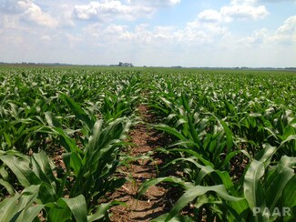 0 County Road 2500 E Unit 1149259, Hoopeston, IL 60942