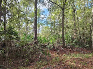 201 Pineway Ave W, Satsuma, FL 32189