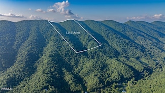 Tbd Mendota Rd, Mendota, VA 24270