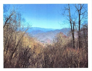 33 Butterfly Path, Bryson City, NC 28713