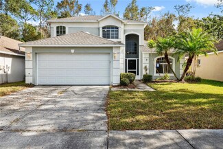 1550 Firewheel Dr, Wesley Chapel, FL 33543