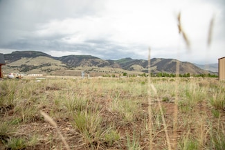Dr, Creede, CO 81130
