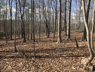 30 Cosmos Trail, Dunlap, TN 37327