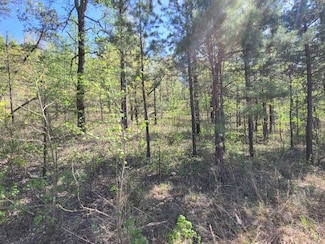 0 Tower Ln 72519 Unit 11443596, Jordan, AR 72519