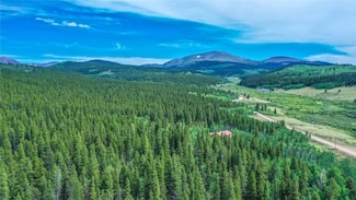 1655 Beaver Creek Rd, Fairplay, CO 80440