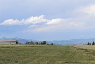 43 N Centurion Way, Whitehall, MT 59759