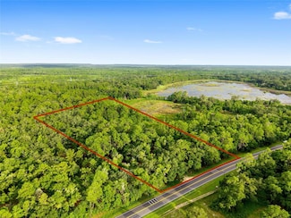 TBD NE Highway 315, Fort Mc Coy, FL 32134