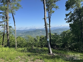 0000 W Garden Trail Unit Lot 67, Hendersonville, NC 28792
