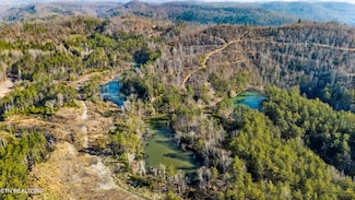 0 Stinking Creek Rd, Pioneer, TN 37847
