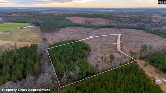 0 Ebb MacK Lot 1 Rd Unit 598148, Saluda, SC 29138