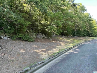 0 Bellerive Cir Unit 158A 21390746, Oneonta, AL 35121