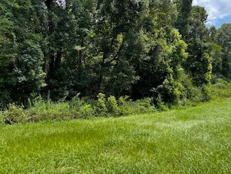 0000 Solomon Dairy Rd, Quincy, FL 32352