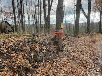 000 Crawford Rd, Crawford, WV 26343