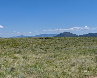 TBD County Road 251, Westcliffe, CO 81252