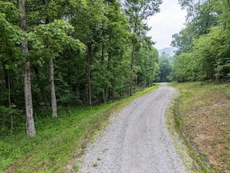 Lot 130 Laurel Loop, Bruceton Mills, WV 26525