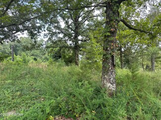 380 Vires Rd, Finger, TN 38334