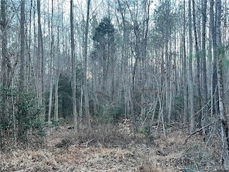 TBD / Lot 3 Evergreen Rd, Provdence Frg, VA 23140