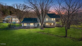 225 Mary Lamons Rd, Afton, TN 37616