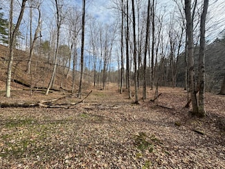 72 Locust Hill Rd, Susquehanna, PA 18847
