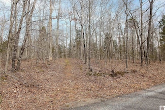 Lots 783 & 784 Unit IV Smithwood Dev & Ky Lake Dev Corps Unit Lot 783 Rendezvous D, New Concord, KY 42076
