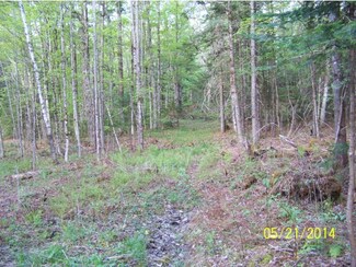 1451 Oak Lodge Rd, Rochester, VT 05767