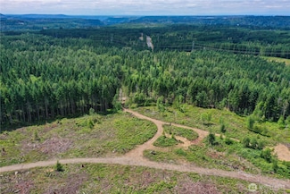0 A P Tubbs Rd, Carbonado, WA 98323