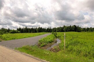 4090 Mud Lake Rd, Lewis, NY 13489