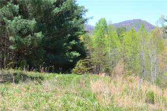 00 Swaringen Rd, Traphill, NC 28685