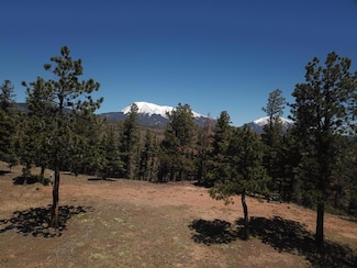 19498 Constanti Ridge, Weston, CO 81091