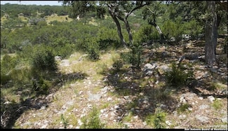 492 Havasu Point, Spring Branch, TX 78070