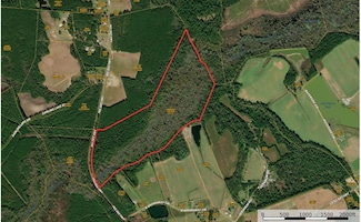 0 Pee Dee Hwy Unit 25650621, Conway, SC 29527