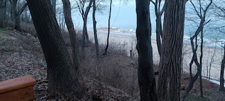 15922 Lakeshore Dr, Union Pier, MI 49129