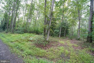 Lots 22 & 23 Black Oak Ln, Oakland, MD 21550