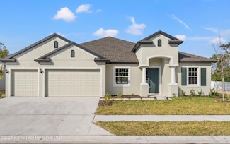 14421 Nonna Sky Dr, Spring Hill, FL 34609