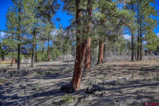 736 Majestic Dr, Pagosa Springs, CO 81147