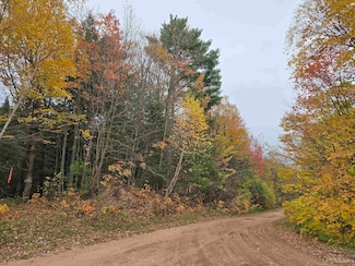 9693N Blue Rd Unit Lot 171, Nisula, MI 49952