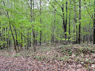 TBD Harborview Lot 9-11 Dr, Munising, MI 49862