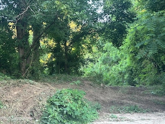 0 Kentucky 49, Bradfordsville, KY 40009